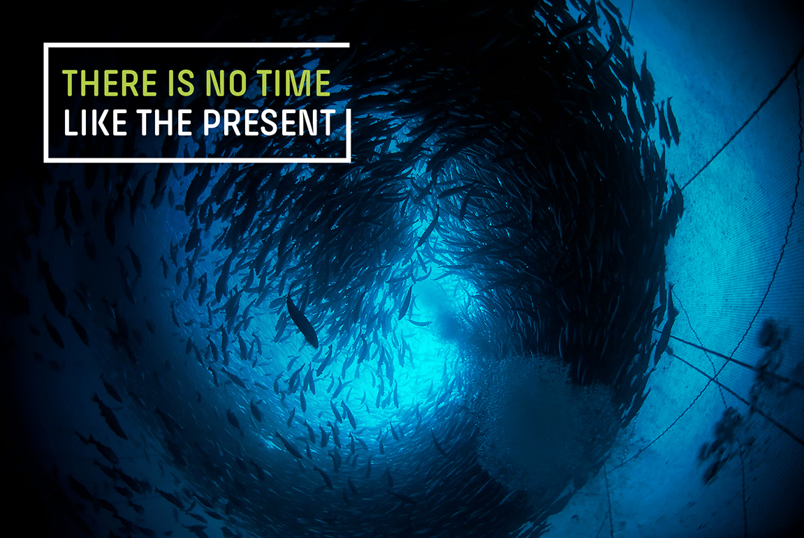 Grieg_seafood_1151px